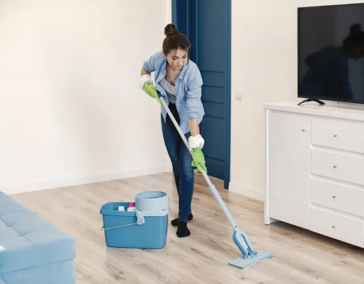 Femme de ménage Bonac-Irazein